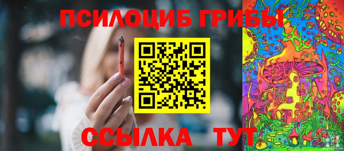 Псилоцибиновые грибы GOLDEN TEACHER Углич